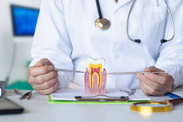 Best Tooth Infection Emergency Dentist  in Christiana, TN